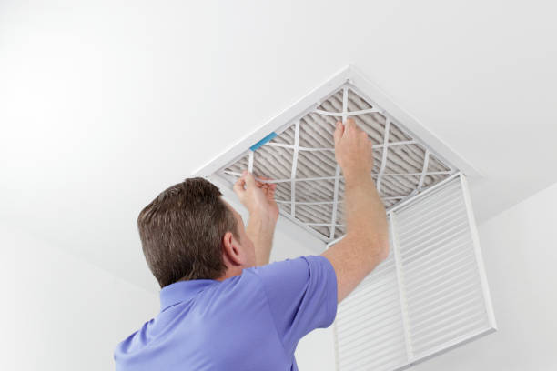 Best Home Air Vent Cleaning  in Pocatello, ID